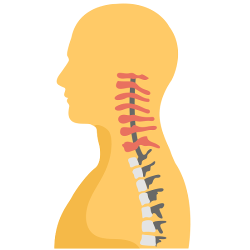 Spinal Surgery