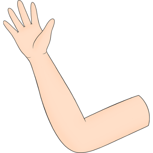 Brachioplasty