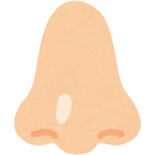 Nose Reshaping