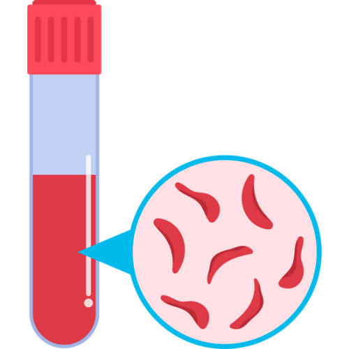 Stem Cell Treatment for Blood Disorders