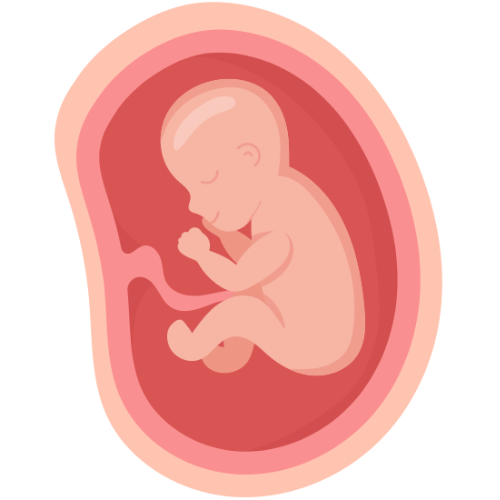 Natural IVF