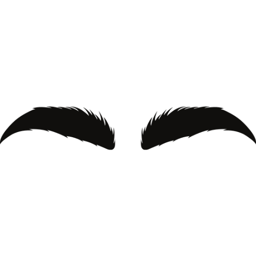 Eyebrow Hair Transplant
