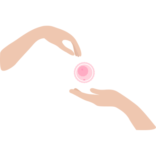 Frozen Embryo Transfer