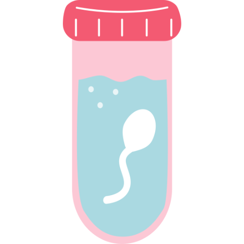 ICSI Procedure