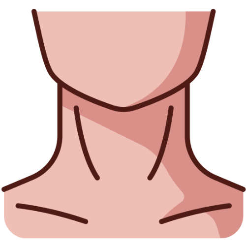 Neck Lift